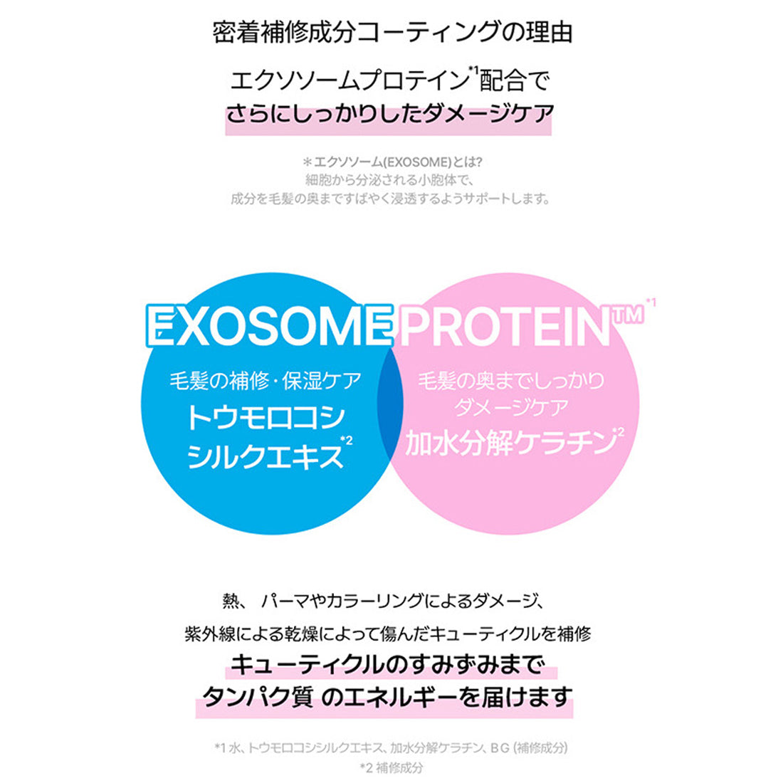 プロリペアヘアミルク ローズフローラル 80ml (NEW)