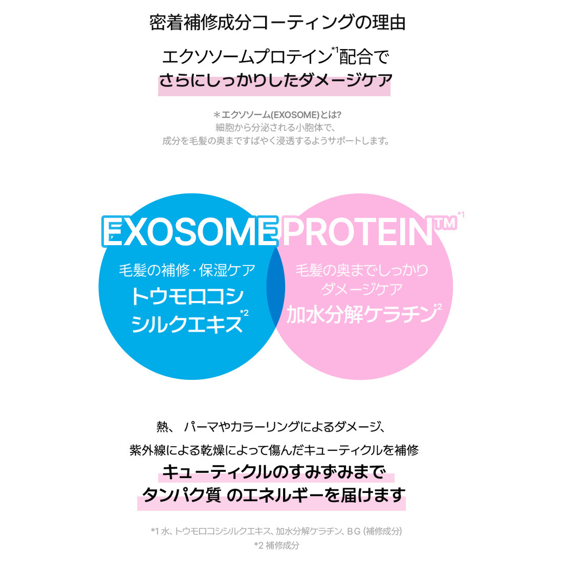 【オンライン限定】+Care set(リペアヘアエッセンス・リペアヘアミルク・ノーウォッシュブーストトリートメント)