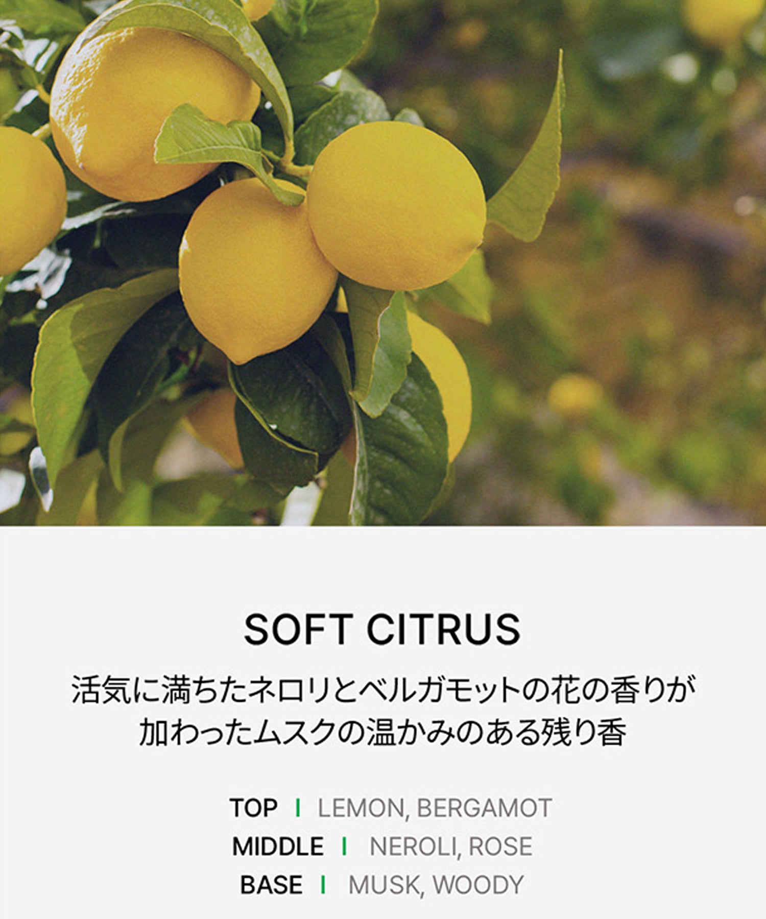 プロテインバームB 100ml (NEW)