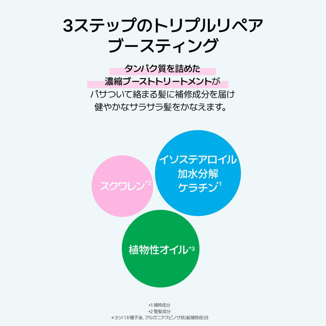 【オンライン限定】+Care set(リペアヘアエッセンス・リペアヘアミルク・ノーウォッシュブーストトリートメント)