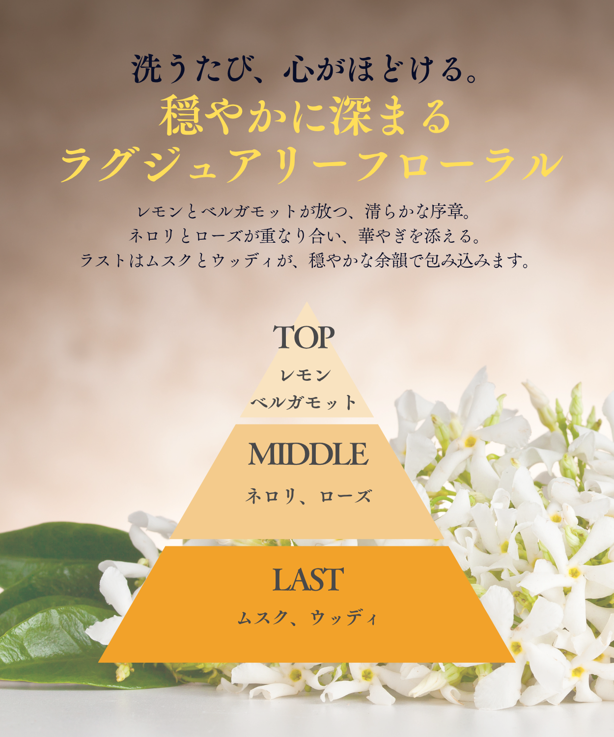 スーパーリペアシャンプー 290ml(NEW) 480ml